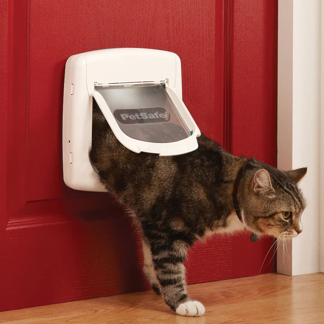 4-way magnetic locking cat flap in a door