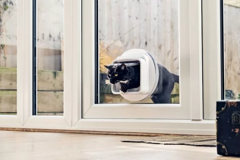 Cat flap installed in a glass door