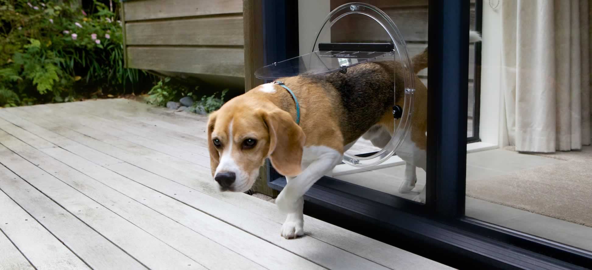 Dog flap installation