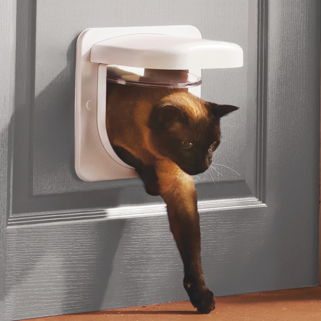 Microchip cat flap in a door